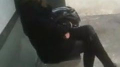 Best of public cum over xhamster 02 not my video