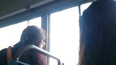 Paja publica con lechada