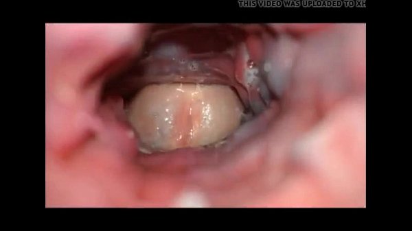 inside creampie – www.fxxkporn.com