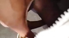 Public cumshot at the bus stop