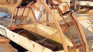 Mere boyfriend ne mujhe kheton ma choda aur Meri phudi Lal krdi Meri gand phar di