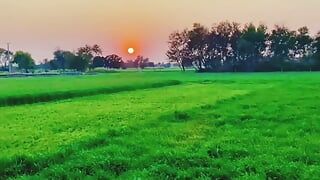 Boss fucked hard with sexy lady client hard Big and big pussy hard anal sex